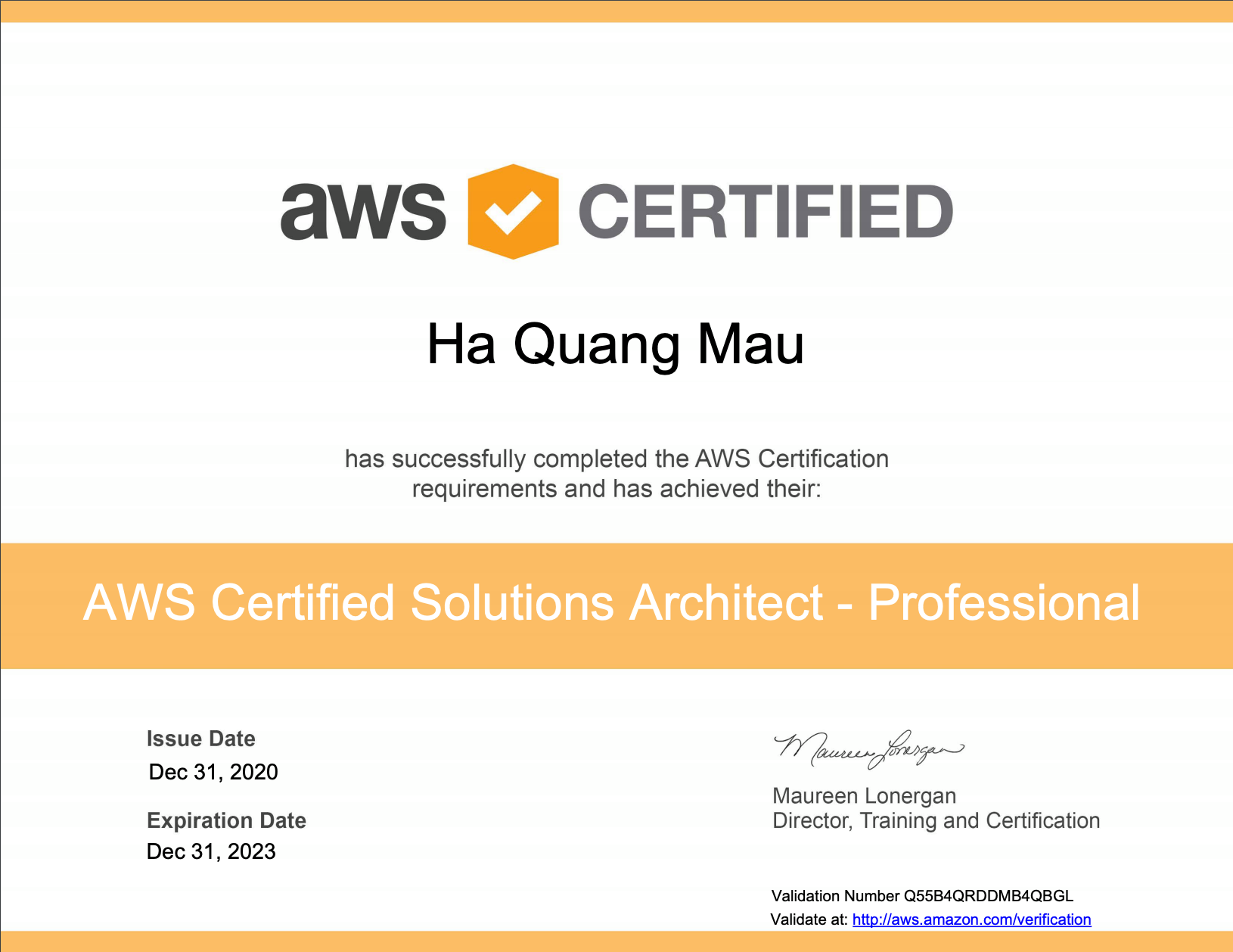 Kinh nghiá»‡m thi chá»©ng chá»‰ AWS Certified Solutions Architect - Professional
